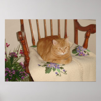 Poster besha