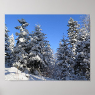 Poster Beskids hiver