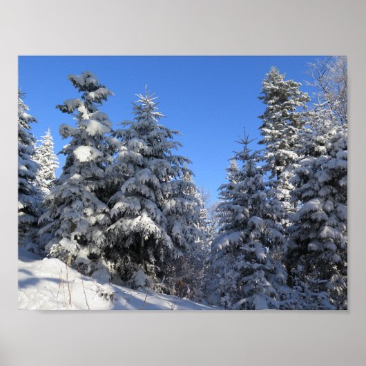 Poster Beskids hiver (Devant)