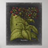 Poster Besler Dramatique I (Devant)