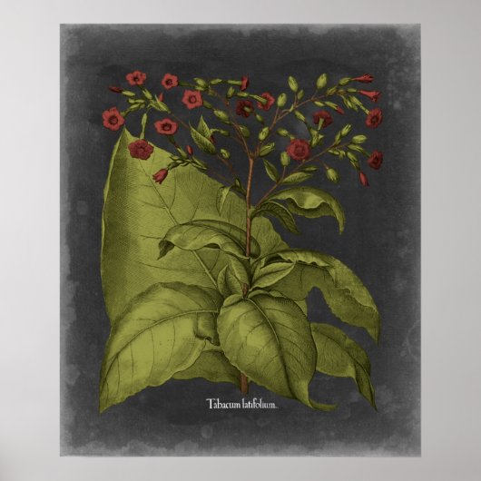 Poster Besler Dramatique I (Devant)