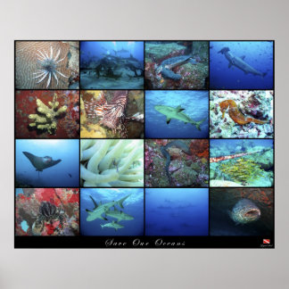 Poster bespaart onze oceanen