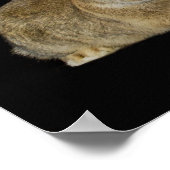 Poster Best Buddies (Coin)