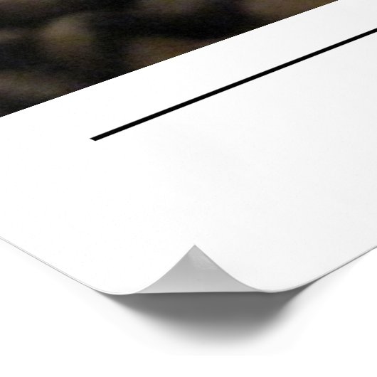 Poster Best Cup - Envoyer Coffee Art (Coin)