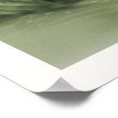 Poster Besy Friends (Coin)