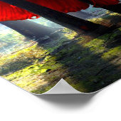 Poster Bêta rouge (Coin)