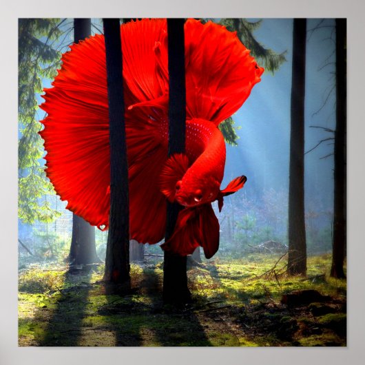 Poster Bêta rouge (Devant)