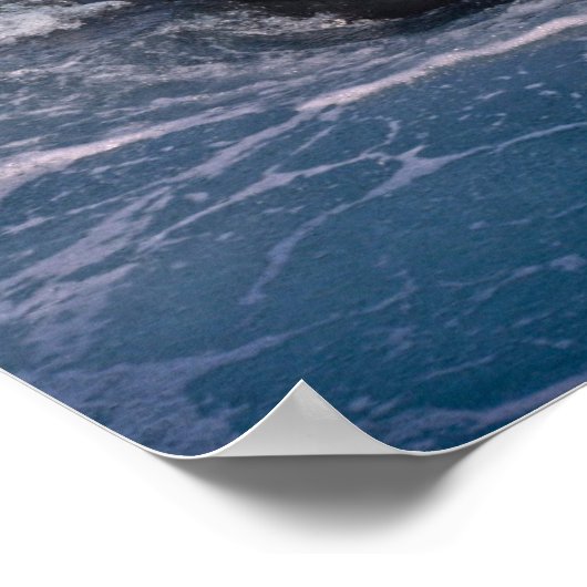 Poster Bétail tueur nageant (Coin)