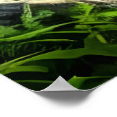 Poster Bête d'imaginaire vert dans la forêt | AI Art Post (Coin)