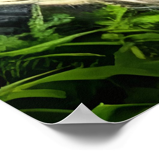 Poster Bête d'imaginaire vert dans la forêt | AI Art Post (Coin)