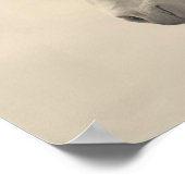 Poster Bête Nobel (Coin)