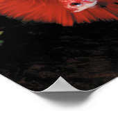 Poster Bettaの ポ ♥ タ (Coin)