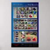 Poster Betta (Devant)