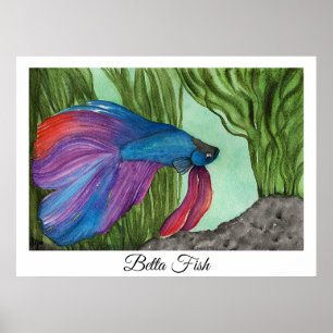 Poster Betta fish