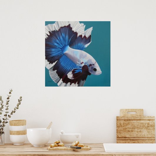 Poster Betta Fish (Cuisine)