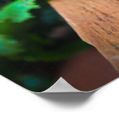 Poster Betteraves fraîchement récoltées sur une table en (Coin)