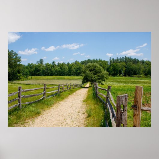Poster Between the Fences (Devant)