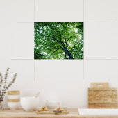 Poster beukenbomen (Keuken)