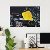 Poster Beurre à nez long (Bureau à domicile)