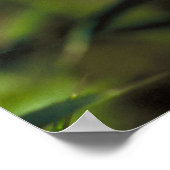 Poster Beurre à queue épaisse et abeille sur une fleur. (Coin)