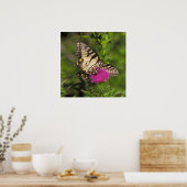 Poster Beurre à queue épaisse et abeille sur une fleur. (Cuisine)