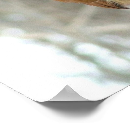 Poster Beurre d'arachide (Coin)