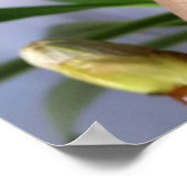 Poster Beurre de châtaignier (Coin)