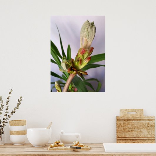 Poster Beurre de châtaignier (Cuisine)