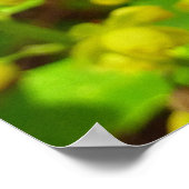 Poster Beurre de séquoia et Fleur sauvage (Coin)