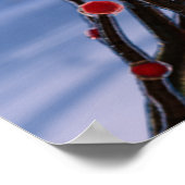 Poster Beurre d'hiver dans la glace (Coin)