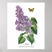 Poster Beurre Lilac Botanique Jean Bois (Devant)
