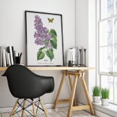 Poster Beurre Lilac Botanique Jean Bois