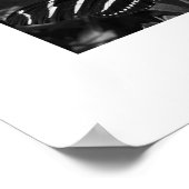 Poster Beurre Zèbre B&W blanc (Coin)