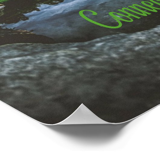 Poster Beutiful Lake Trees du Connecticut (Coin)