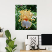 Poster Beutiful Yellow and White Iris Flower Photo (Bureau à domicile)