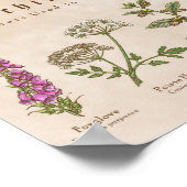 Poster Bewitting Plante Print (Coin)