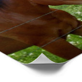 Poster BFF Meilleurs amis pour toujours (Coin)