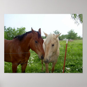 Poster BFF Meilleurs amis pour toujours