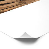 Poster Bhutan (Coin)