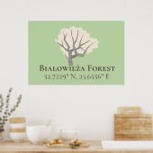 Poster Białowieża Forest Latitude & Longitude (Cuisine)