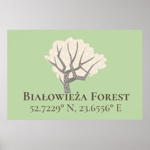 Poster Białowieża Forest Latitude & Longitude