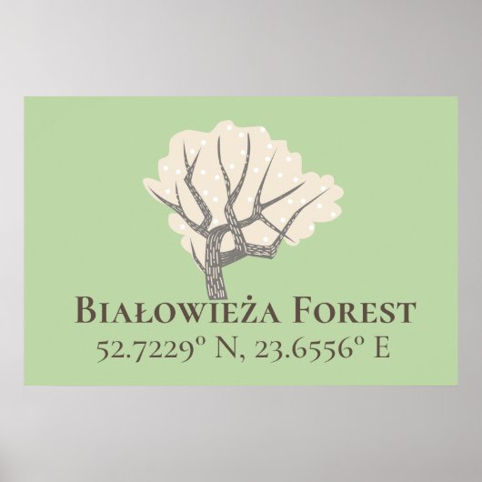 Poster Białowieża Forest Latitude & Longitude (Devant)