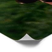 Poster Bianca Beauchamp Latex Cosplay (Coin)