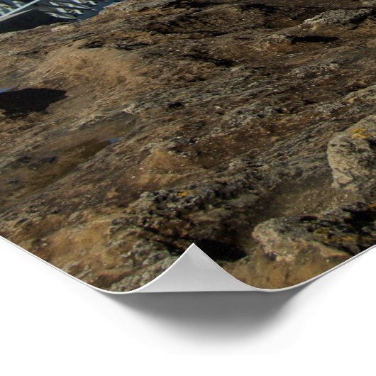 Poster Biarritz (Coin)