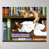Poster Bibliothèque de chats de plateau de livres (Devant)