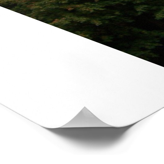 Poster Bibliothèque Hesbergh (Coin)