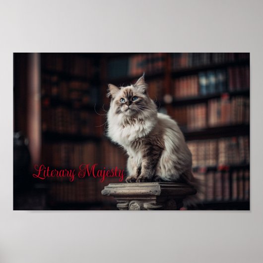 Poster Bibliothèque Majesté : Regal Ragdoll Chat (Devant)