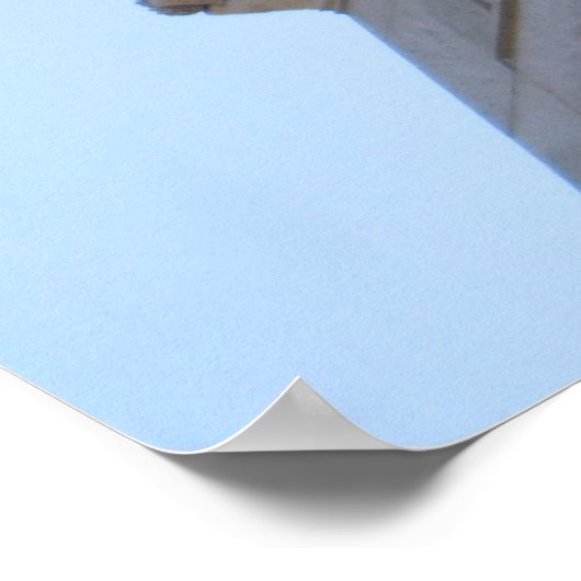 Poster Bibliothèque publique (Coin)