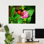 Poster Biblis Cethosia (Bureau à domicile)