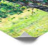 Poster Bibouleau vert Nature Feuille (Coin)